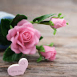 Meet your Posher, Crystal